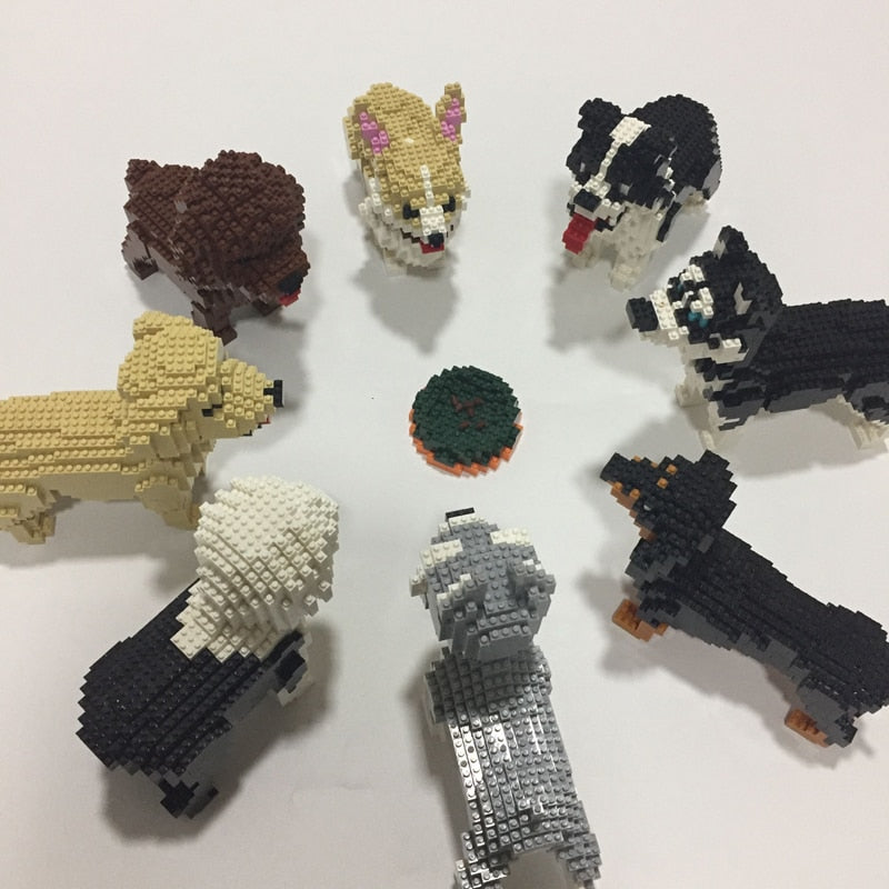 Border Collie Bouwblokjes