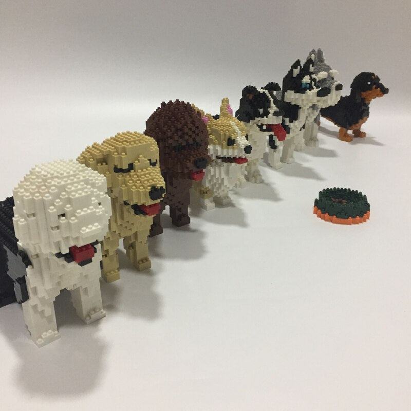 Border Collie Bouwblokjes